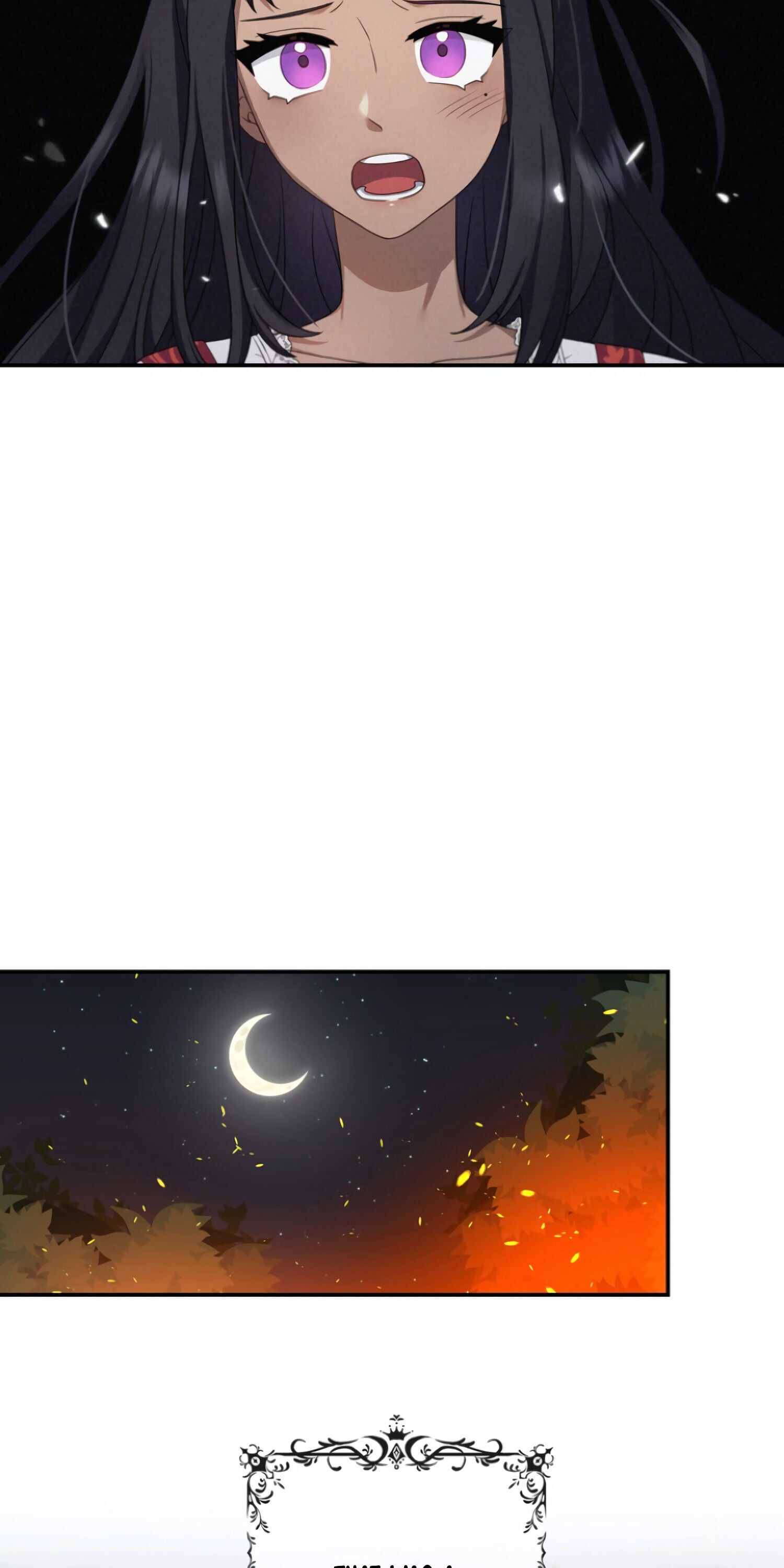 The Two-Faced Princess Chapter 22 - page 47