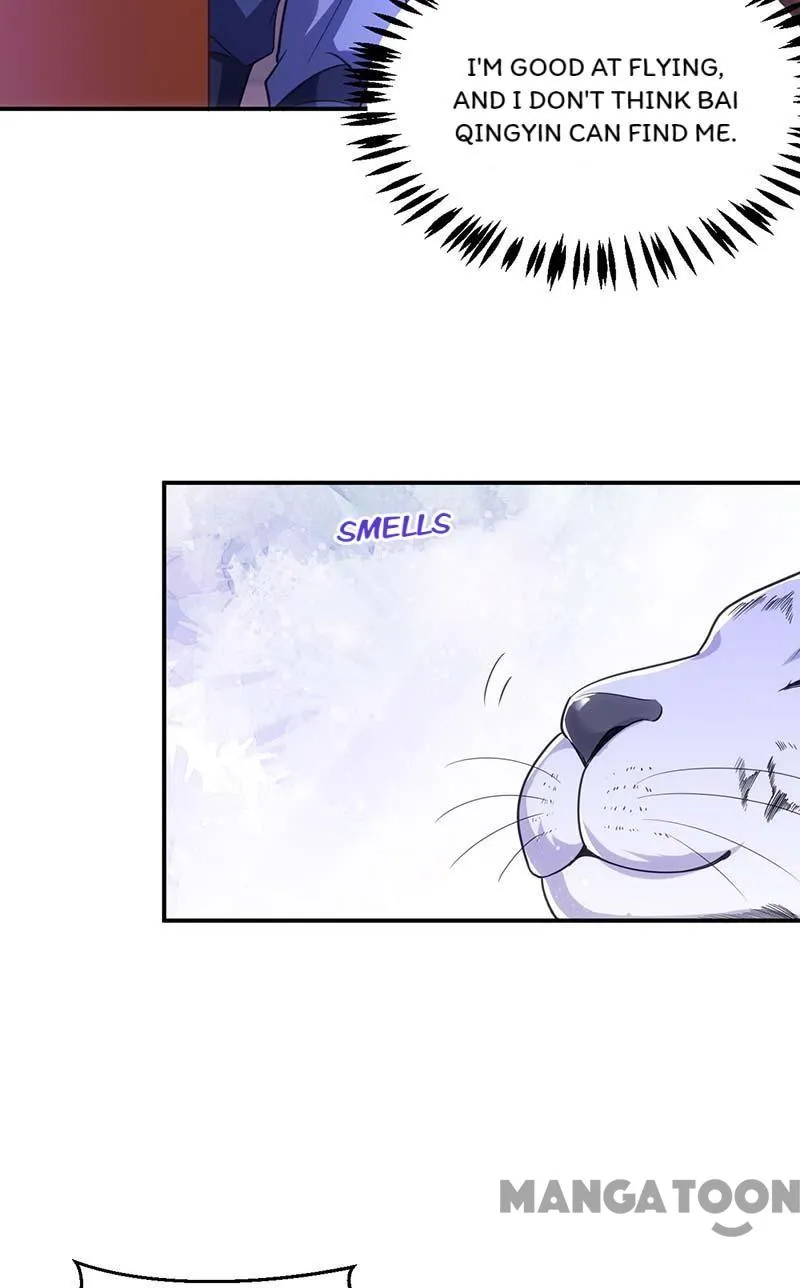 Princess Tigress Reborn: Hug Me General! chapter 81 - page 4