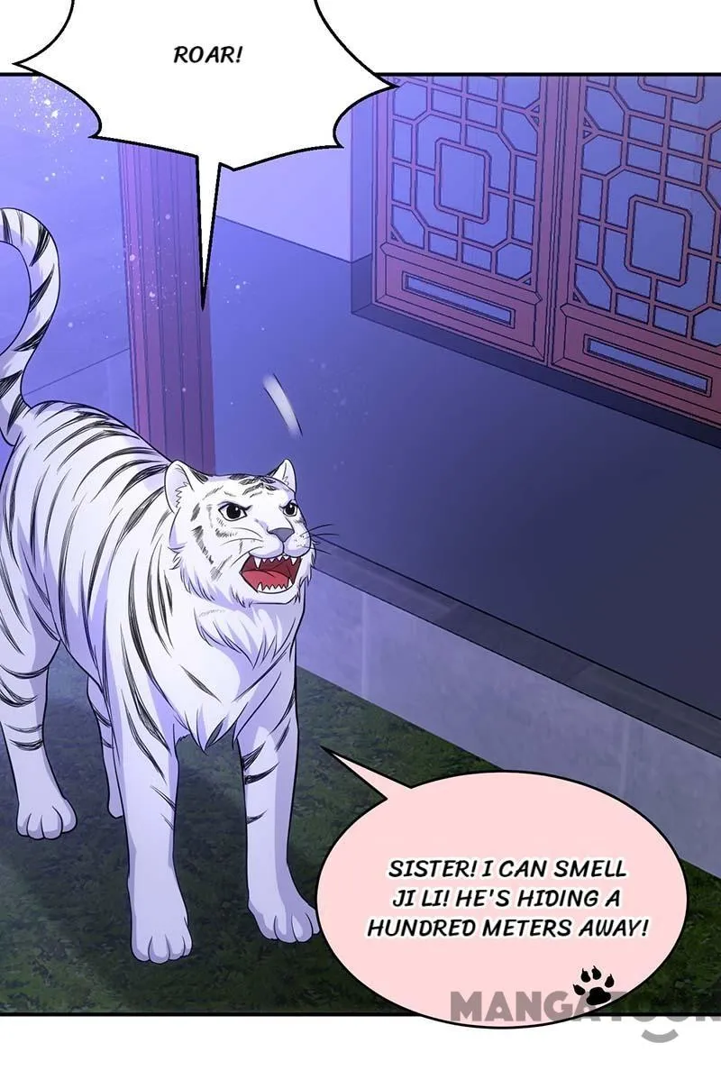 Princess Tigress Reborn: Hug Me General! chapter 81 - page 5