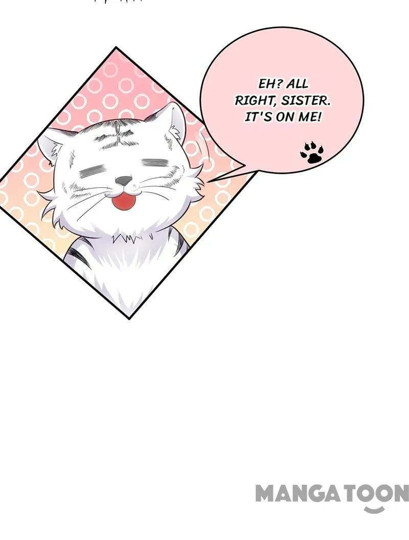 Princess Tigress Reborn: Hug Me General! chapter 80 - page 15