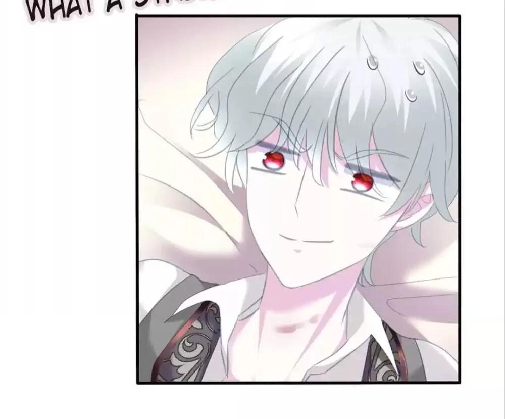 Definitely a Vampire chapter 70 - page 33