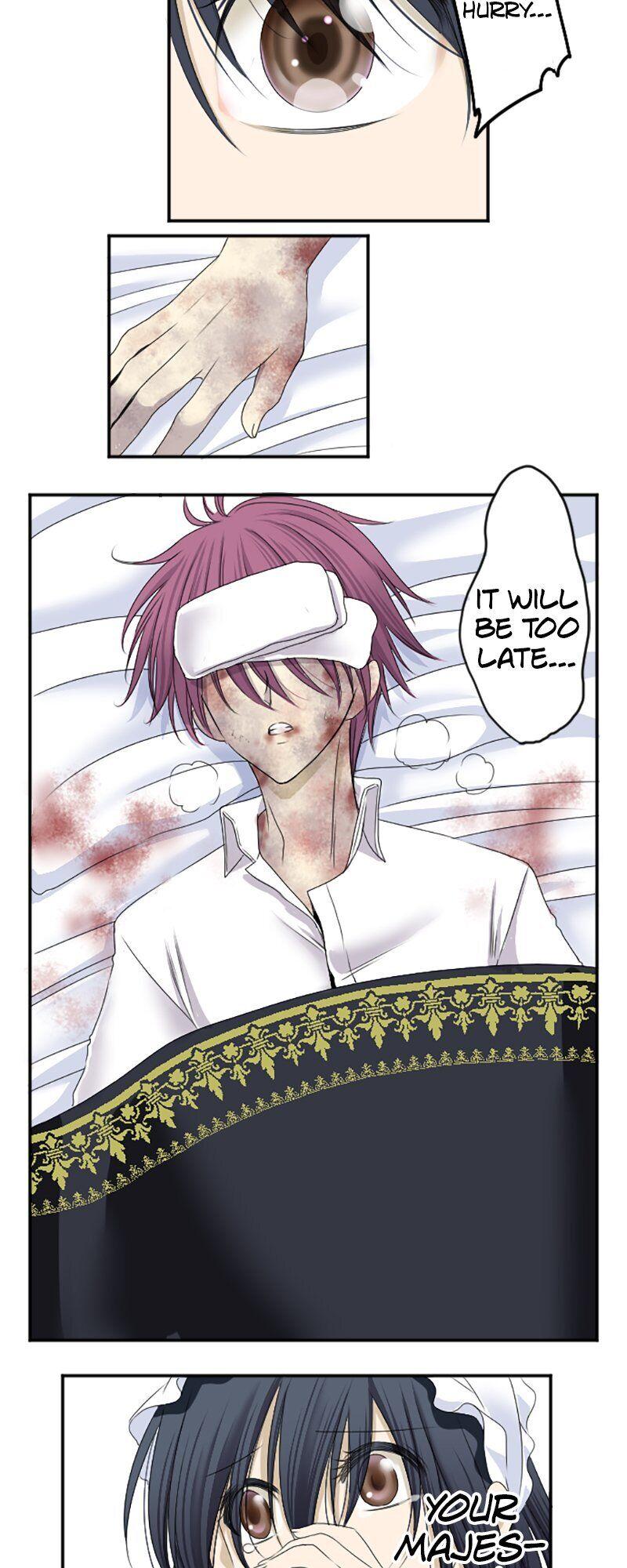 I was Reborn as a Housekeeper in a Parallel World! chapter 11 - page 3