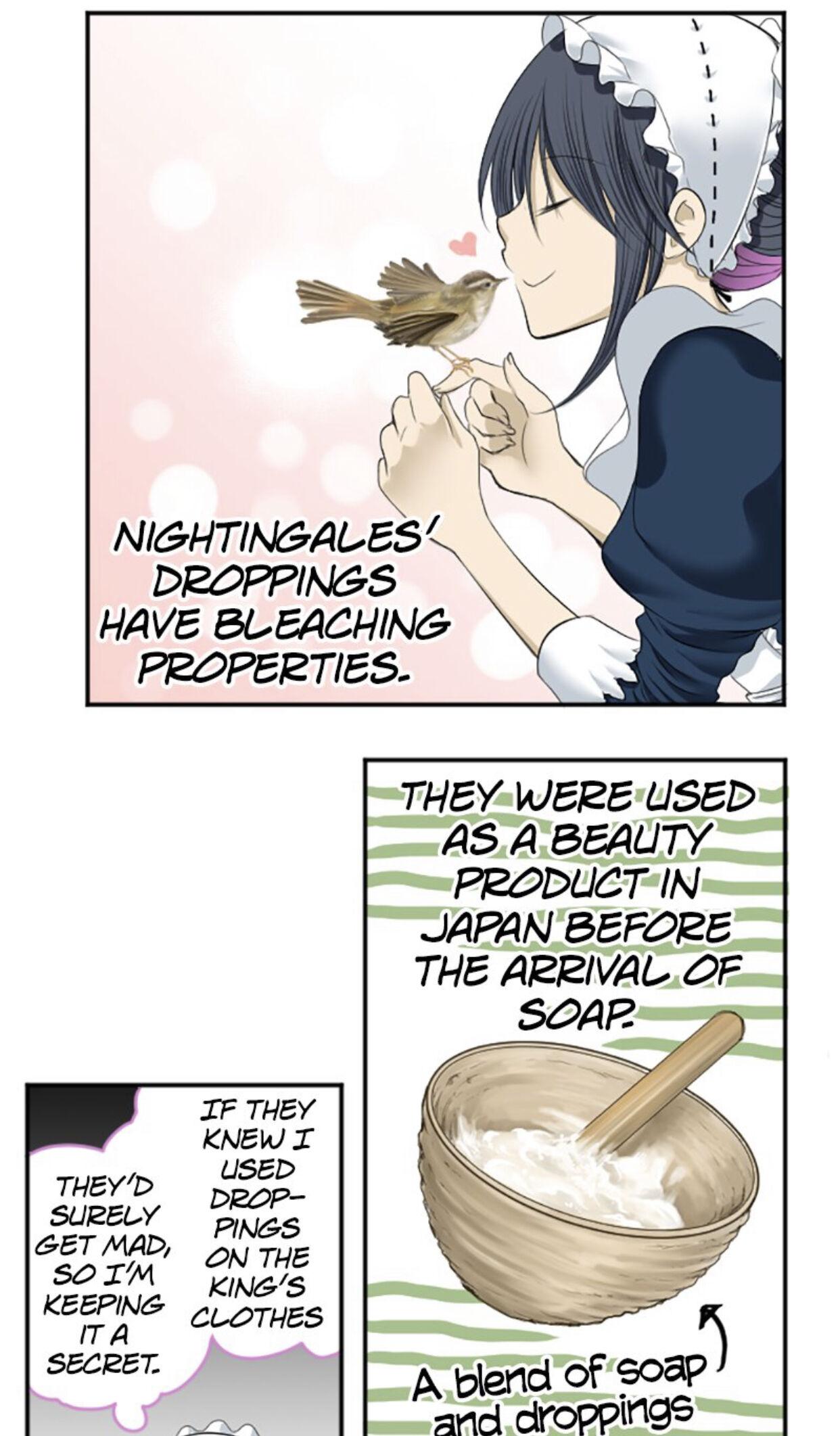 I was Reborn as a Housekeeper in a Parallel World! chapter 1 - page 72