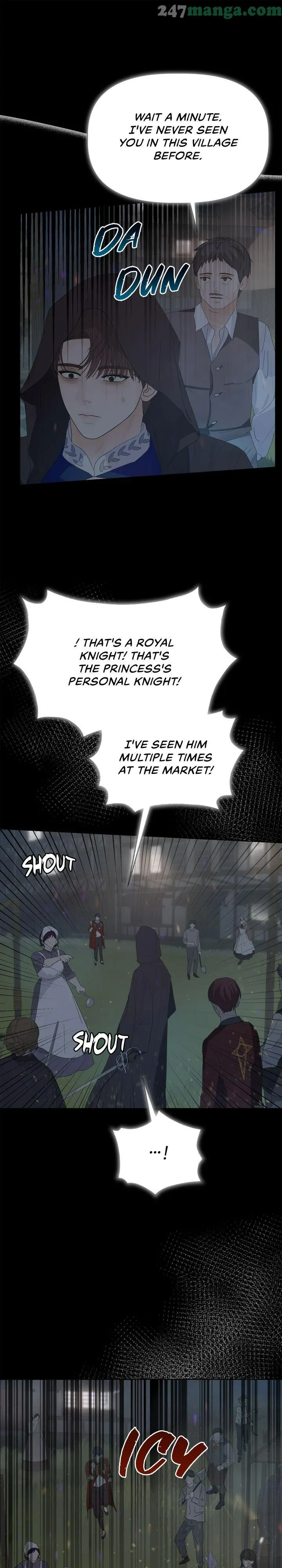 The Princess After The Revolution chapter 33 - page 24