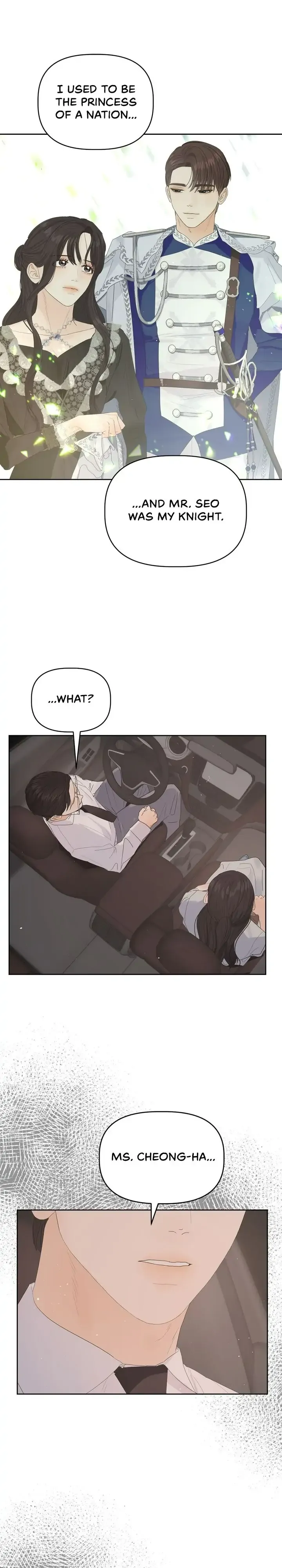 The Princess After The Revolution chapter 27 - page 5