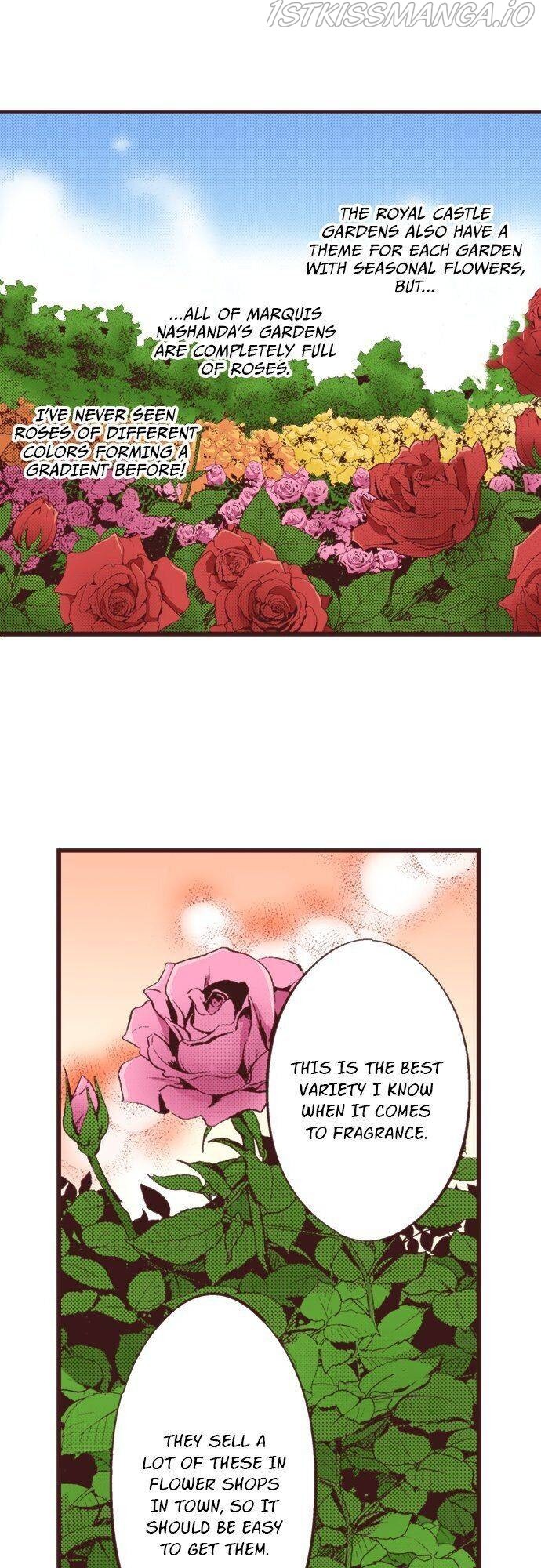 I’ve Reincarnated into a Handmaiden! chapter 33 - page 2
