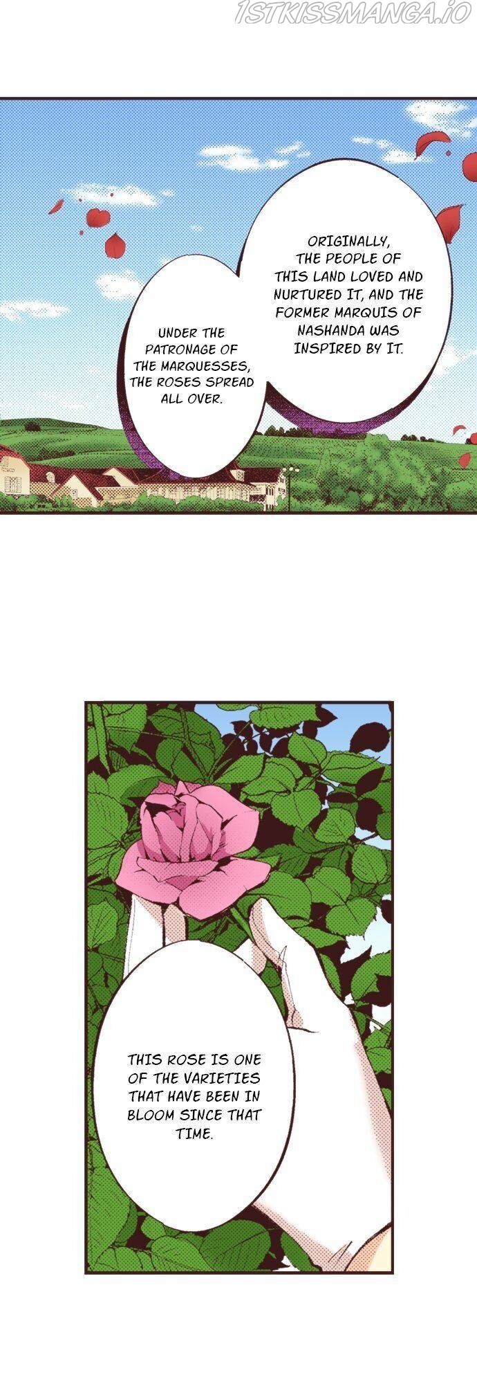 I’ve Reincarnated into a Handmaiden! chapter 33 - page 4