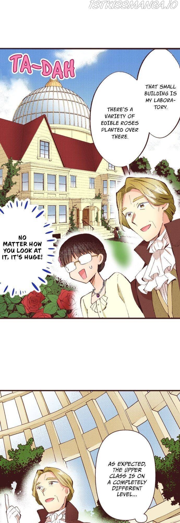 I’ve Reincarnated into a Handmaiden! chapter 33 - page 8