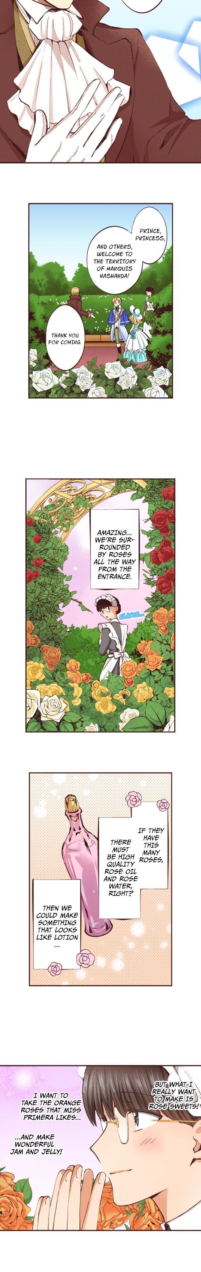 I’ve Reincarnated into a Handmaiden! chapter 29 - page 10