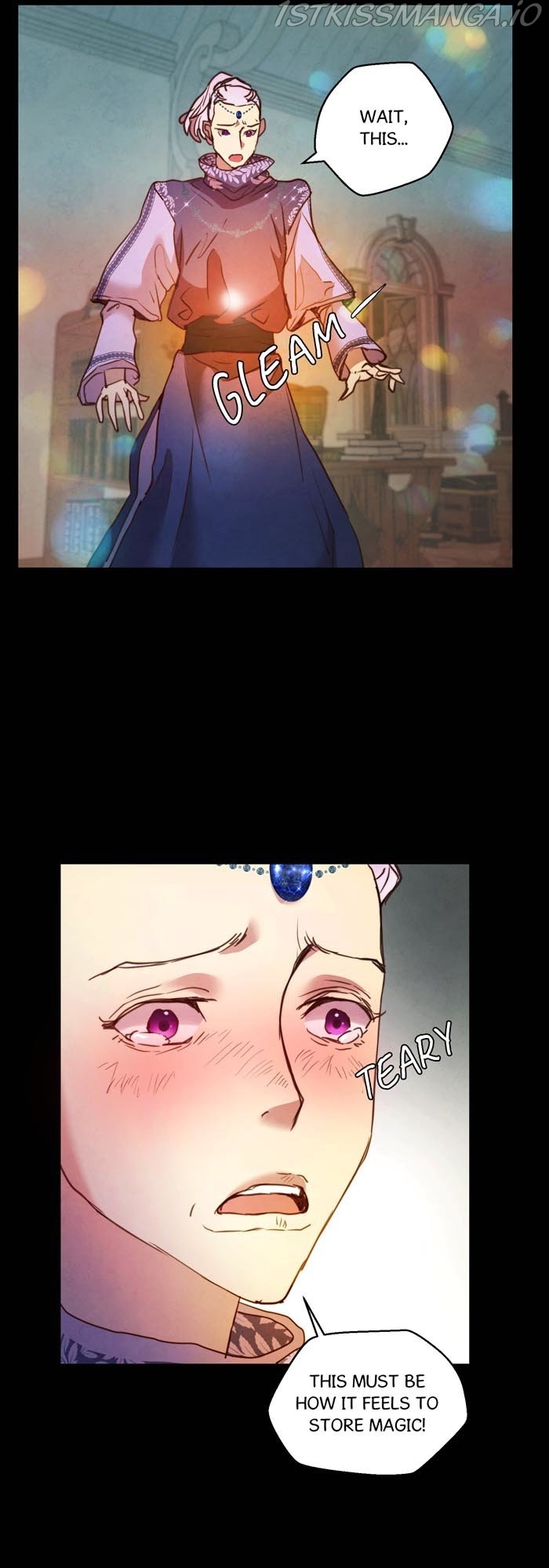 A Fake Princess’s Survival Diary chapter 24.5 - page 10