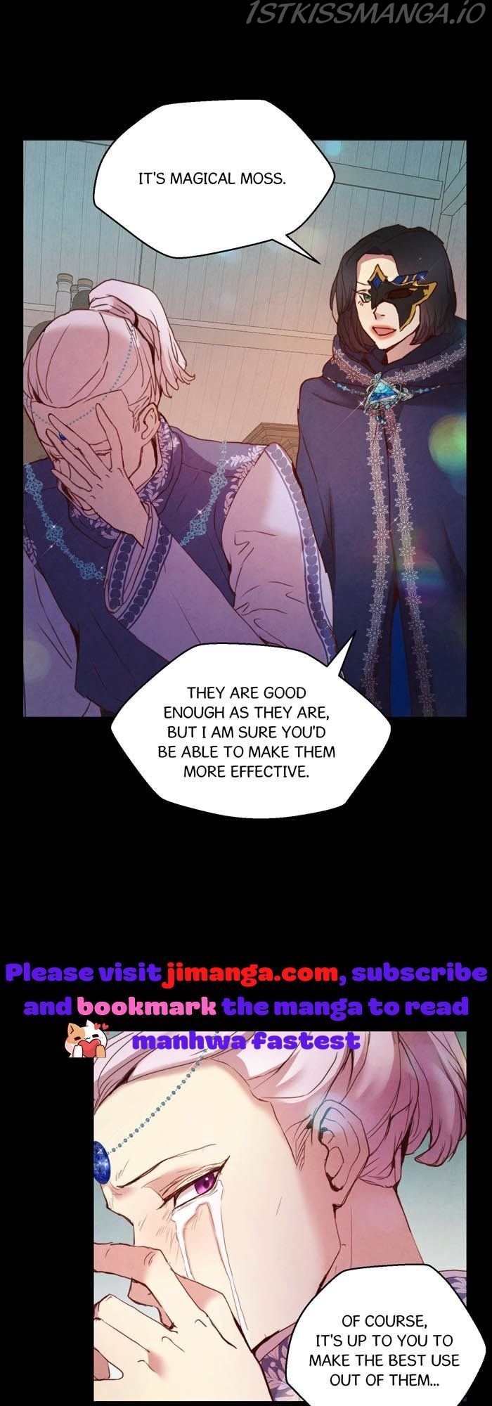 A Fake Princess’s Survival Diary chapter 24.5 - page 13