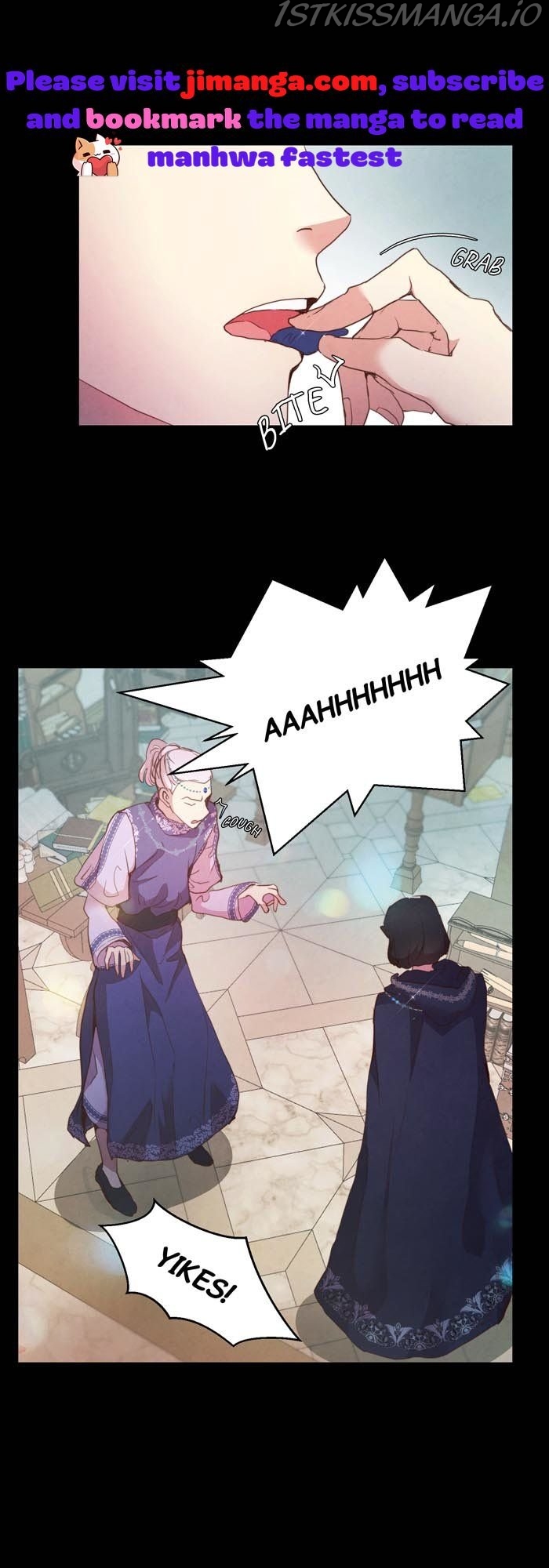 A Fake Princess’s Survival Diary chapter 24.5 - page 8