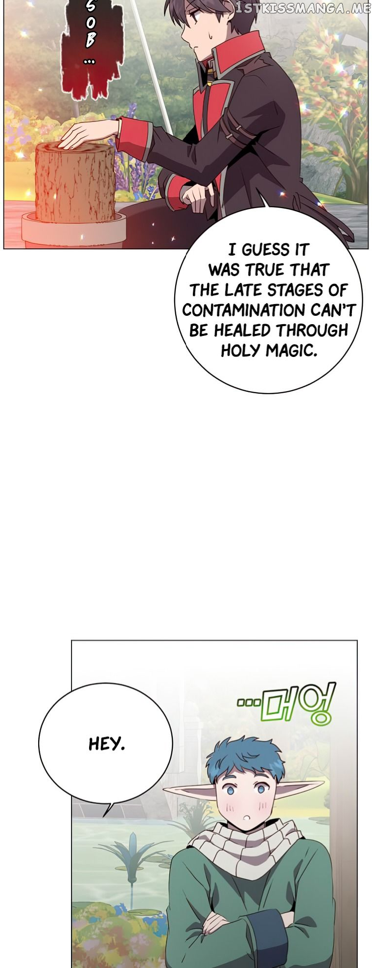 The Max Level Hero Strikes Back Chapter 135 - page 9