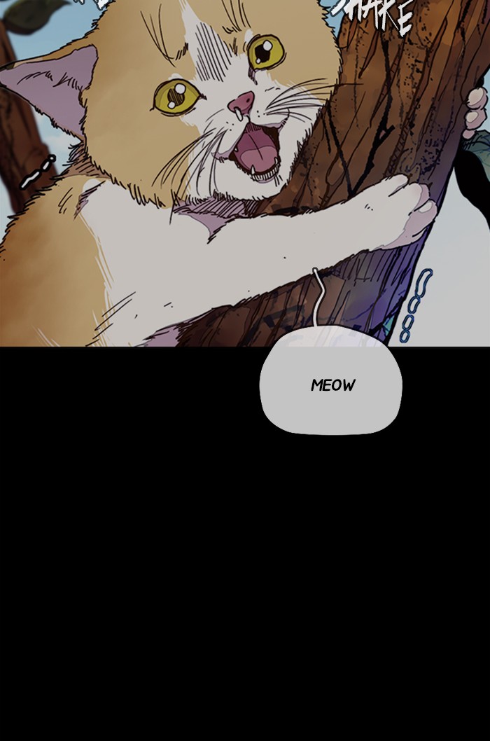 Wind Breaker chapter 318 - page 36