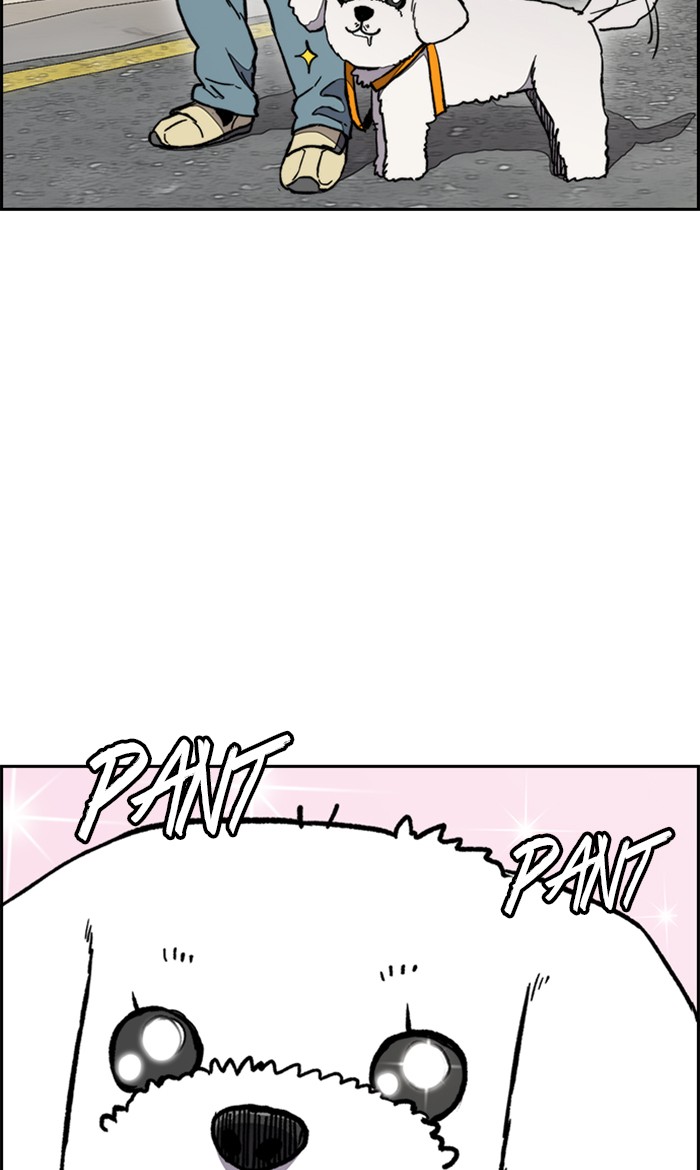 Wind Breaker chapter 278 - page 52