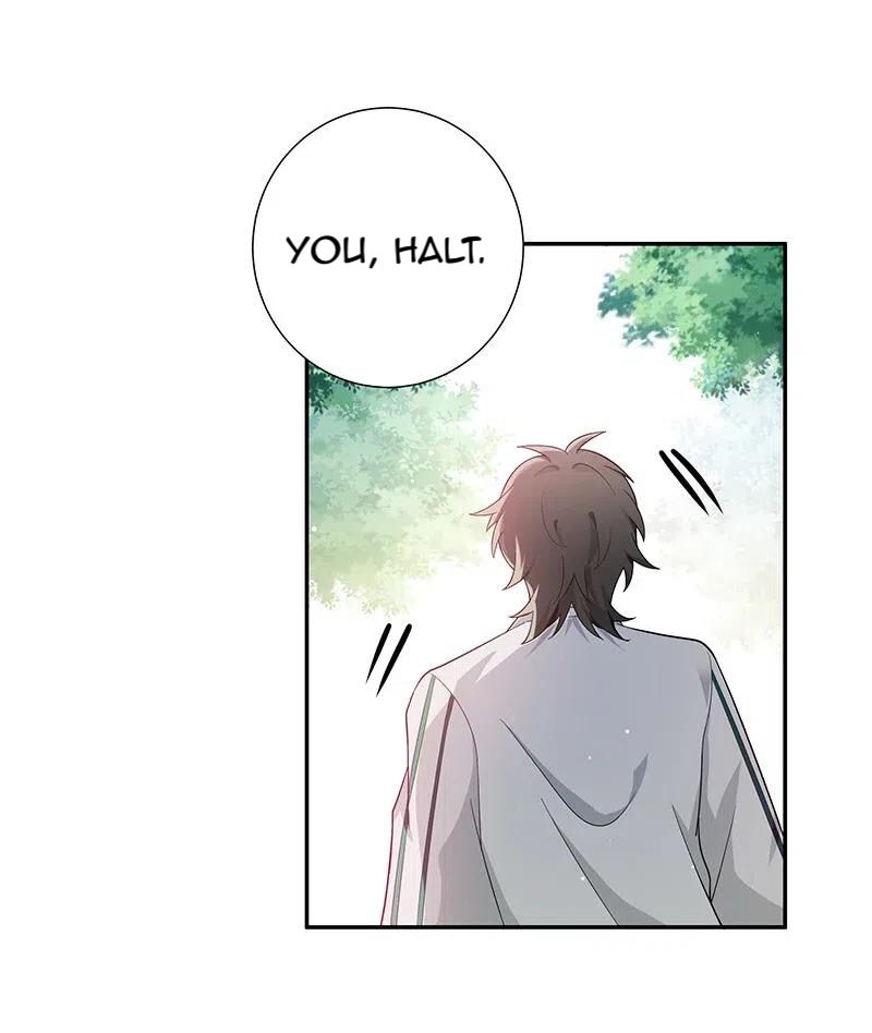 Female Cultivators Are After Me Chapter 11 - page 19