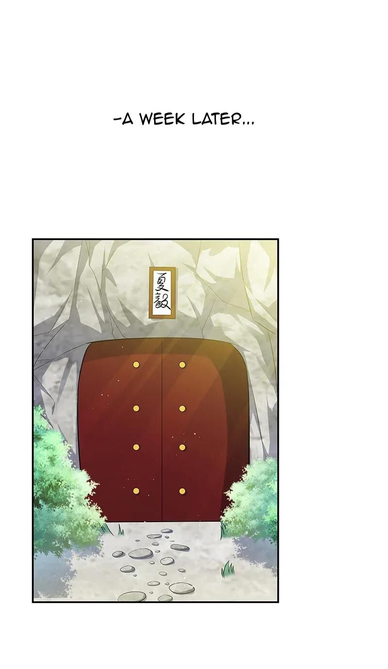 Female Cultivators Are After Me Chapter 8 - page 28