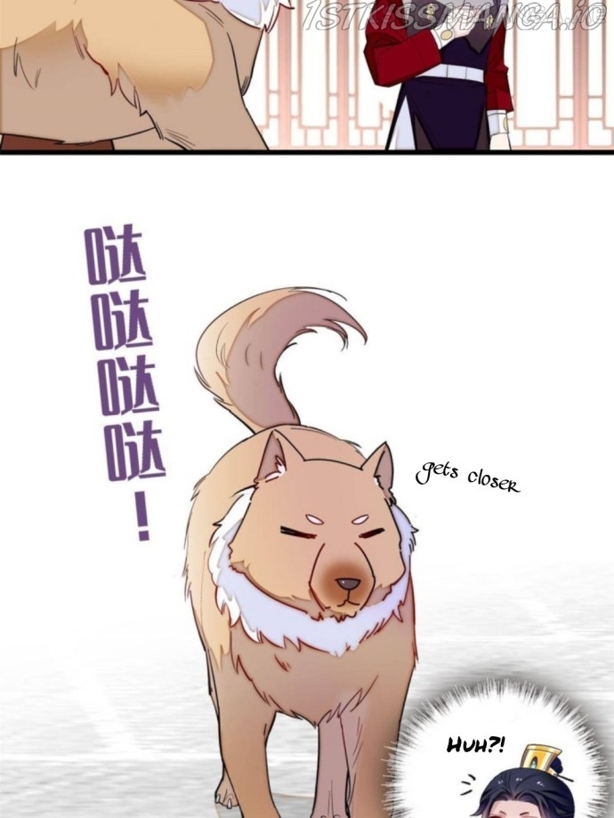 Sijin - Manhua chapter 238.5 - page 7