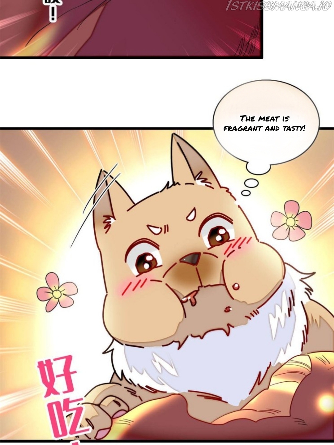 Sijin - Manhua chapter 237.5 - page 5