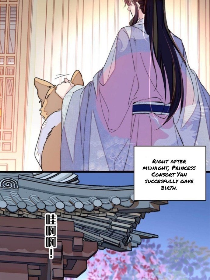 Sijin - Manhua chapter 236 - page 6
