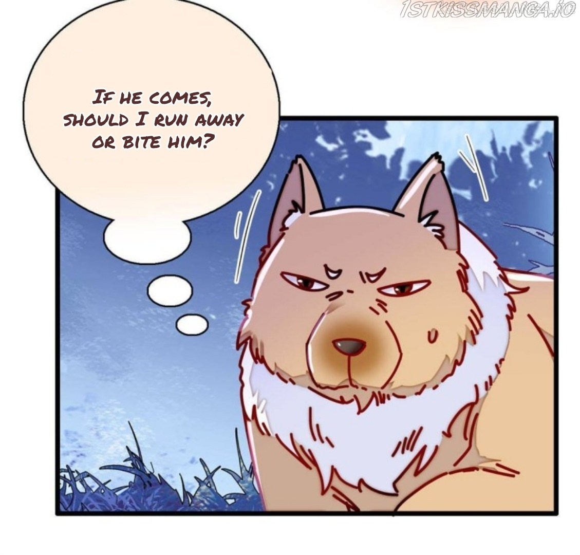 Sijin - Manhua chapter 234.5 - page 12
