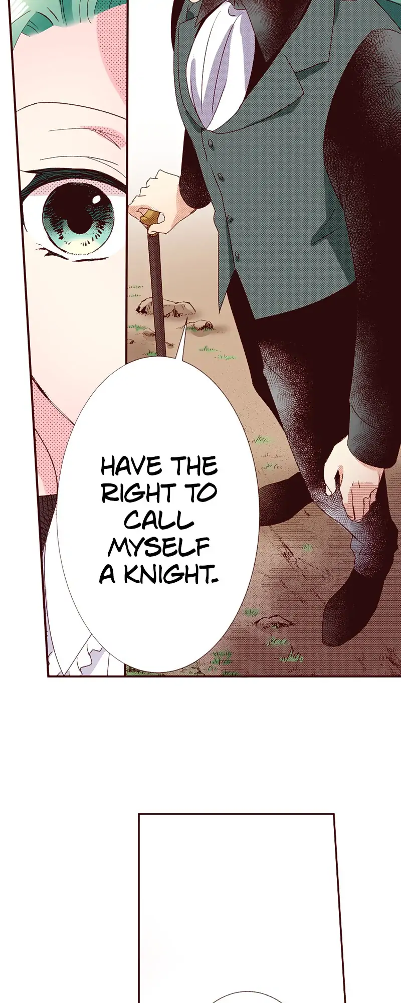 Grand Master Knight Has Become the Princess Chapter 24 - page 21
