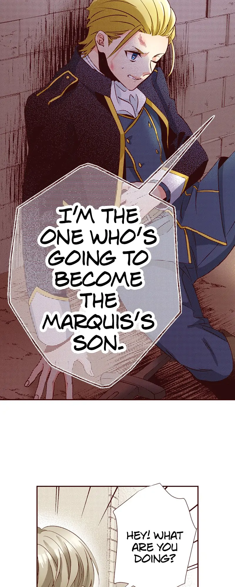 Grand Master Knight Has Become the Princess Chapter 24 - page 3
