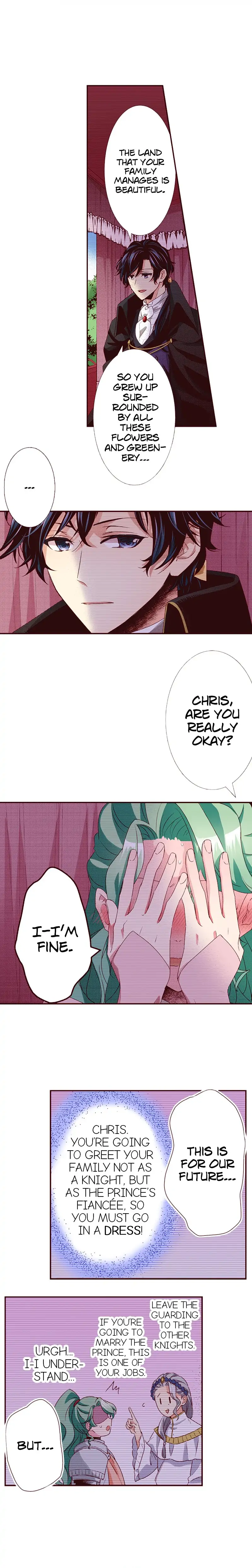 Grand Master Knight Has Become the Princess Chapter 21 - page 12