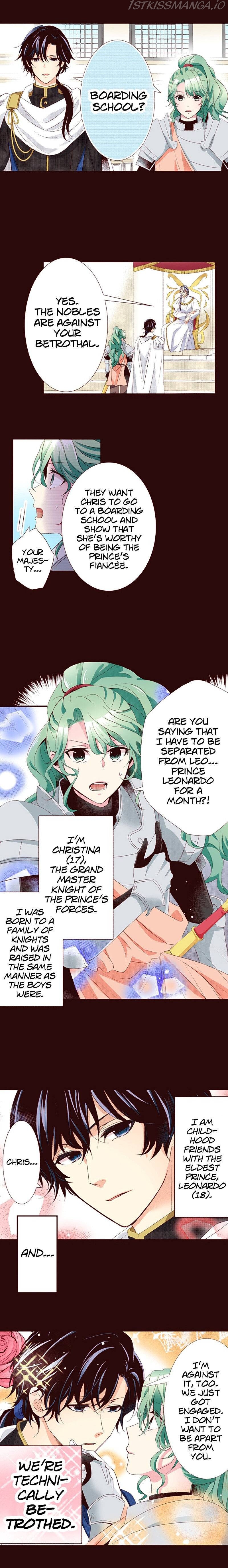 Grand Master Knight Has Become the Princess Chapter 13 - page 3