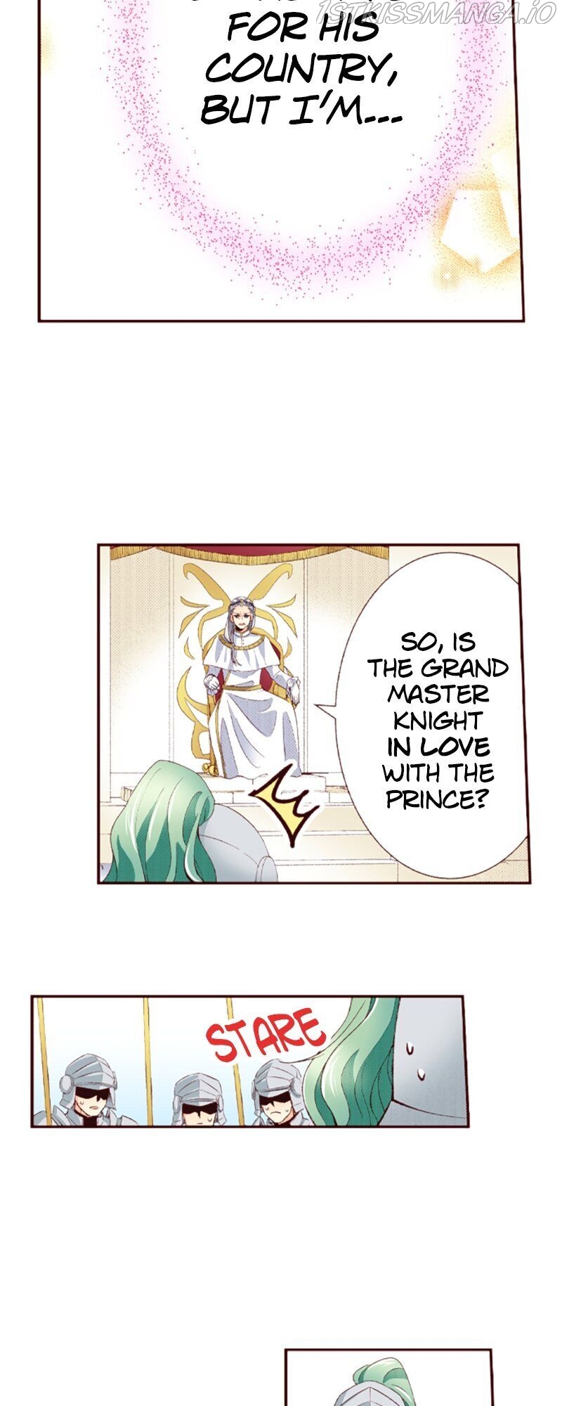 Grand Master Knight Has Become the Princess Chapter 1 - page 21