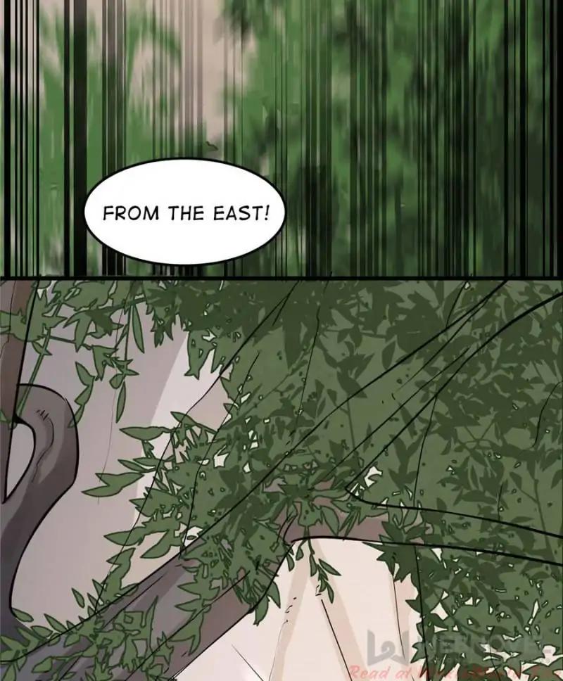 Queen of Posion: The Legend of a Super Agent, Doctor and Princess Chapter 43 - page 5