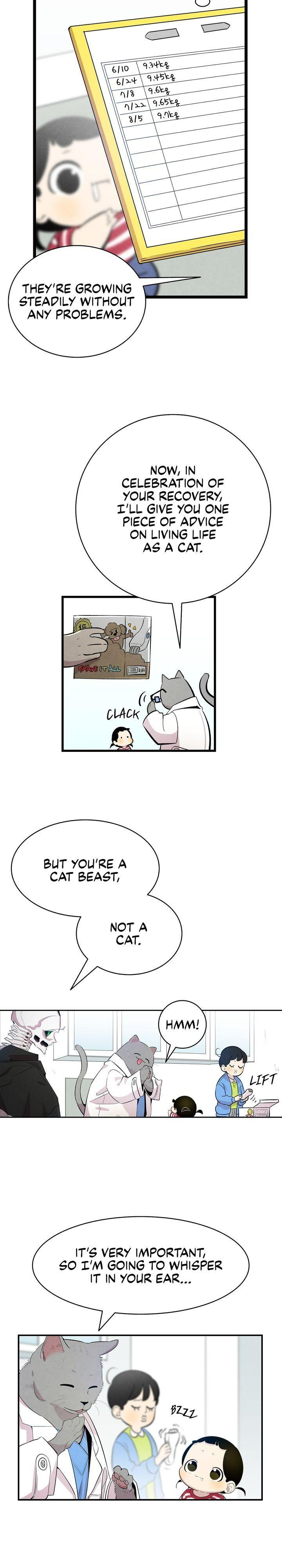 The Skeleton Becomes a Cat Dad chapter 84 - page 16
