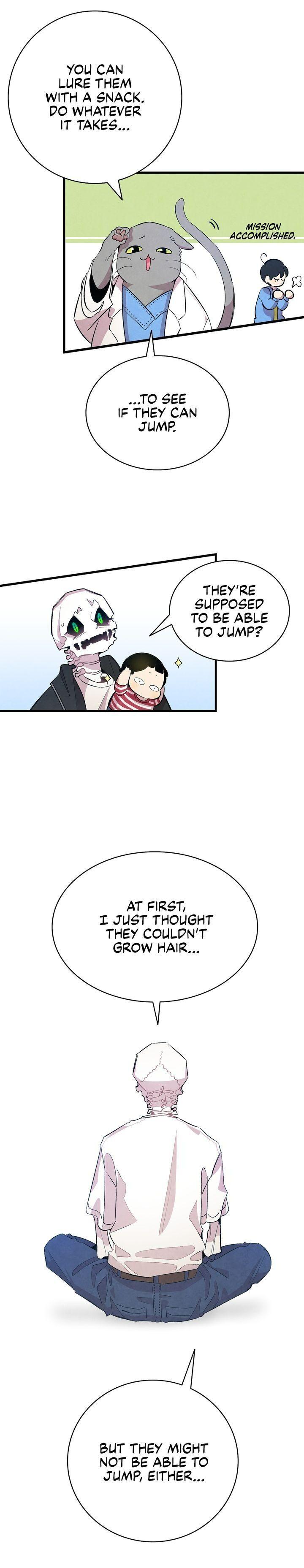 The Skeleton Becomes a Cat Dad chapter 84 - page 20