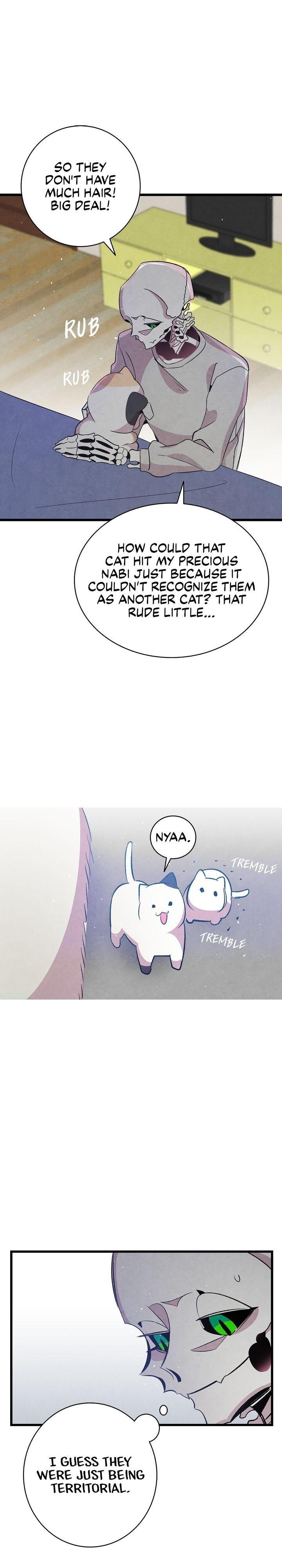The Skeleton Becomes a Cat Dad chapter 65 - page 25