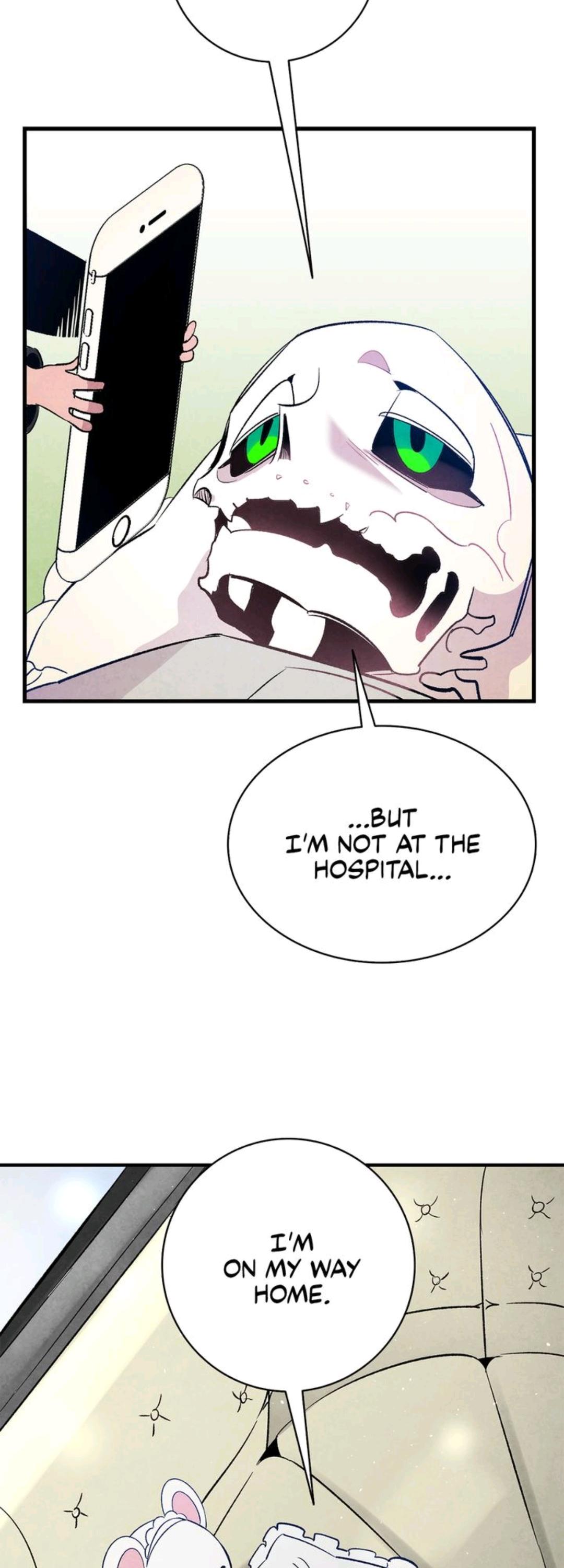 The Skeleton Becomes a Cat Dad chapter 37 - page 43