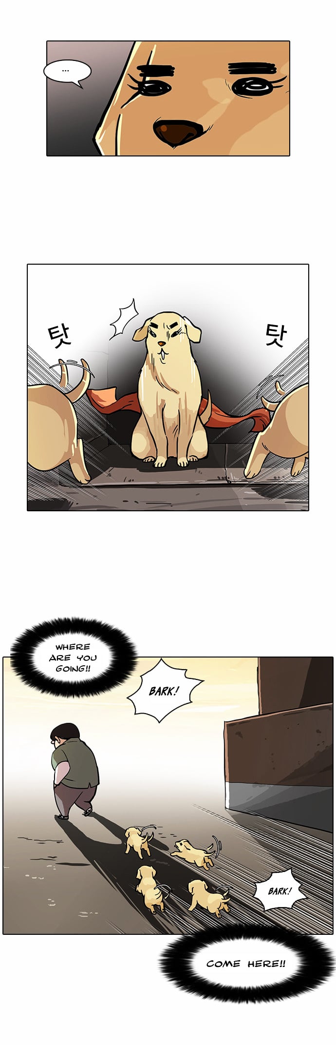 Lookism - Manhwa chapter 62 - page 22