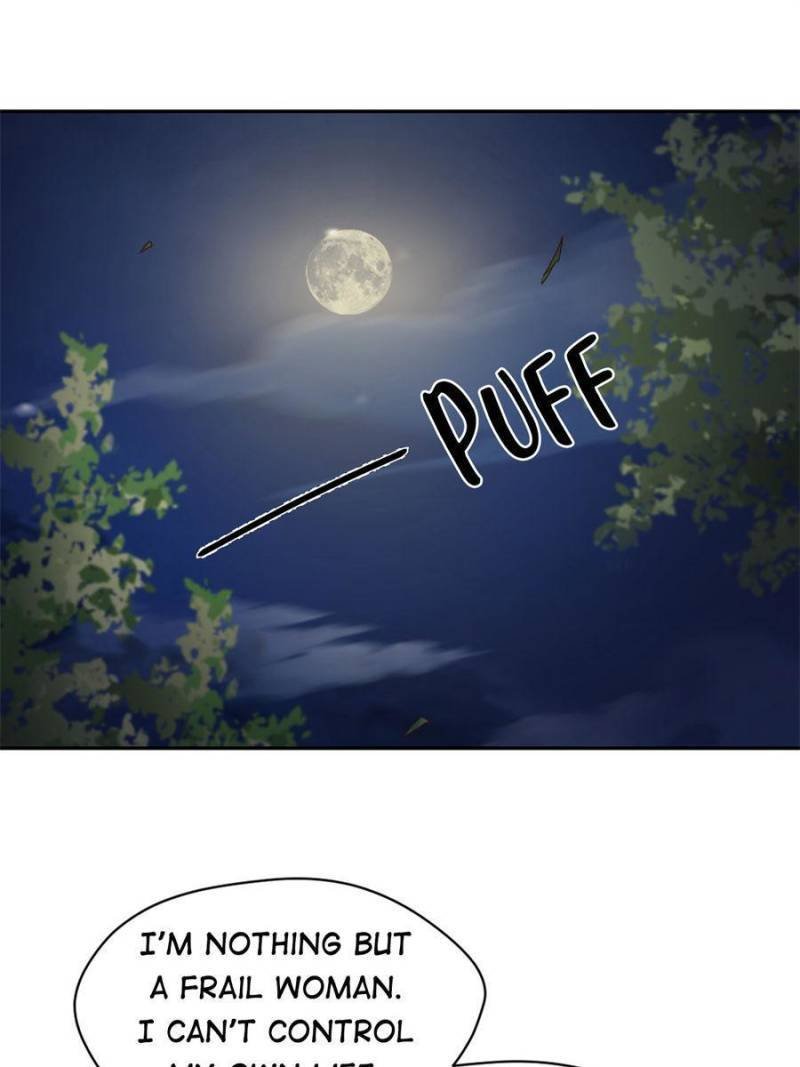 The Phoenix in a Turbulent World chapter 102 - page 1