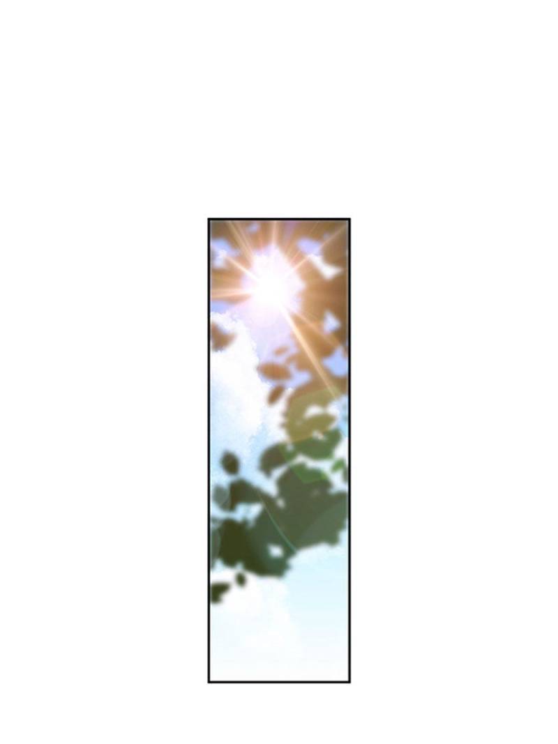 The Phoenix in a Turbulent World chapter 52 - page 1