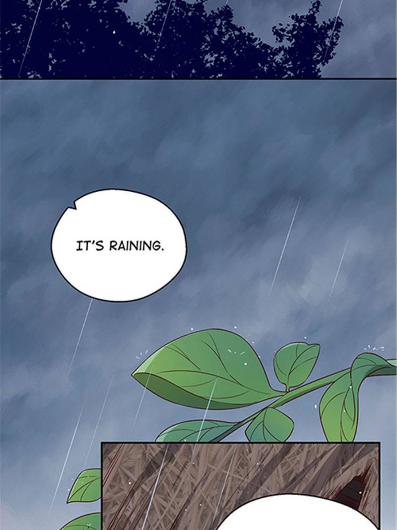The Phoenix in a Turbulent World chapter 48 - page 36