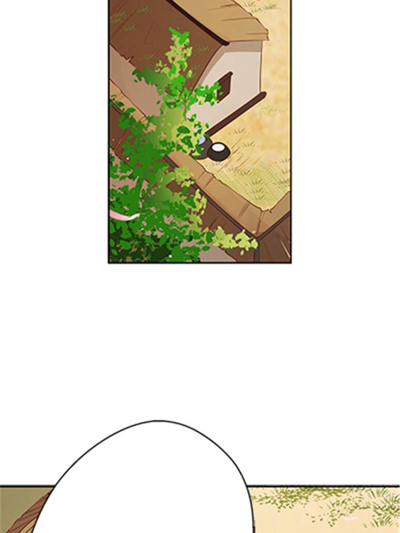 The Phoenix in a Turbulent World chapter 45 - page 45