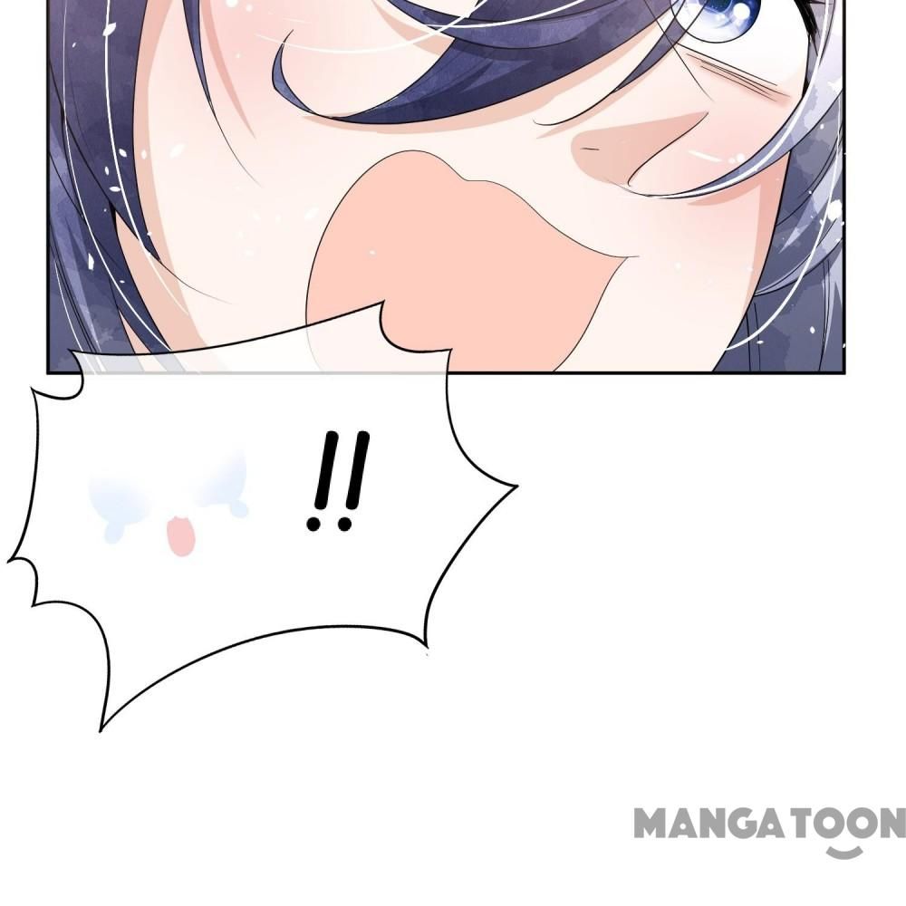 Cold-hearted wife – it is not easy to bully her Chapter 206 - page 24