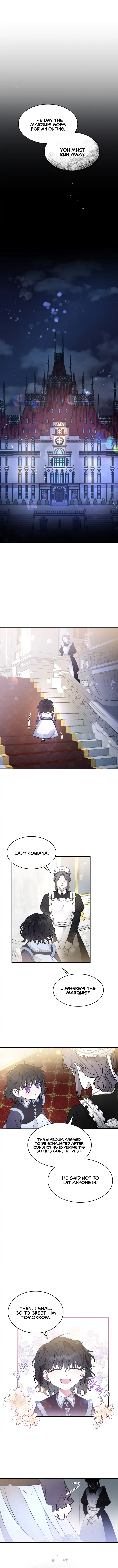 For the Happy Ending of the Tragic Novel Chapter 1 - page 12