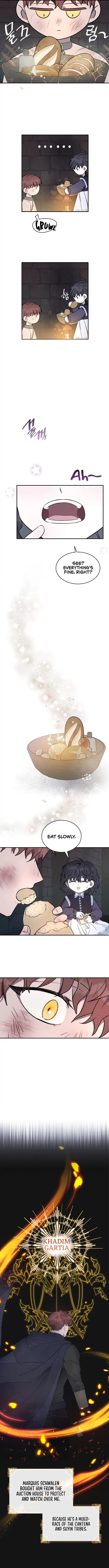 For the Happy Ending of the Tragic Novel Chapter 1 - page 7