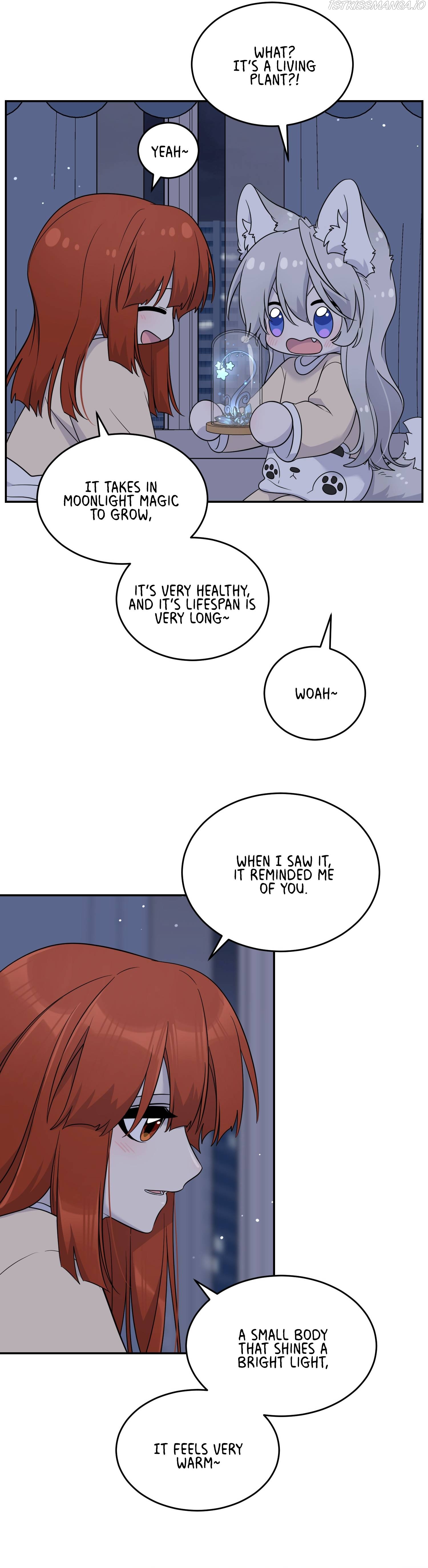 My Food Seems To Be Very Cute Chapter 123 - page 3