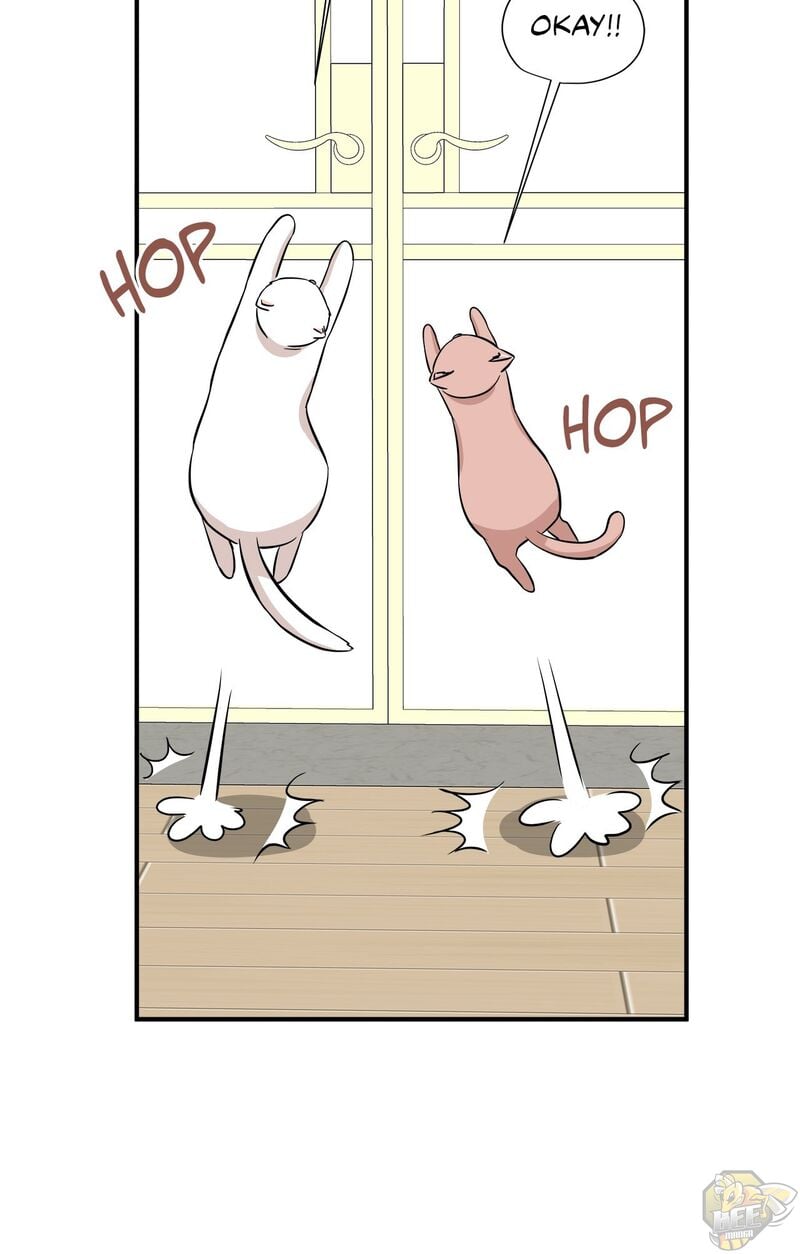 Just for a Meowment Chapter 45 - page 14