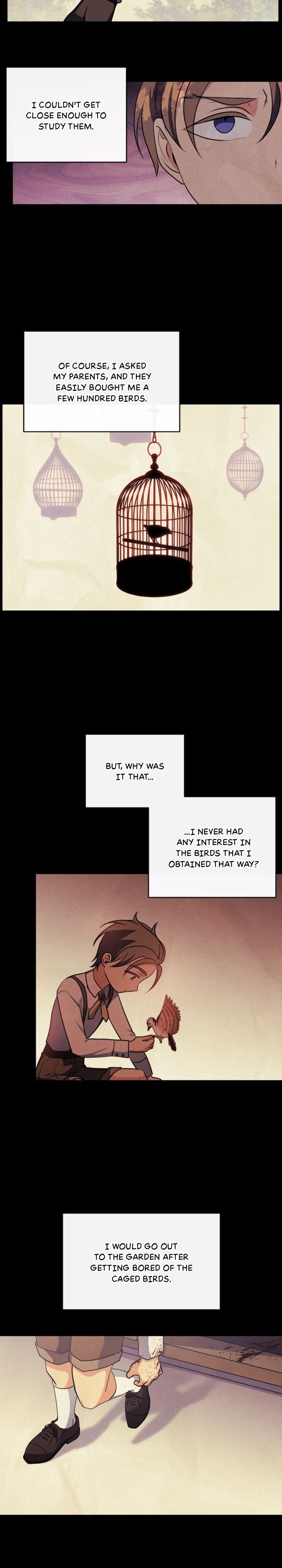 A Witch’s Hopeless Wish Chapter 91 - page 19