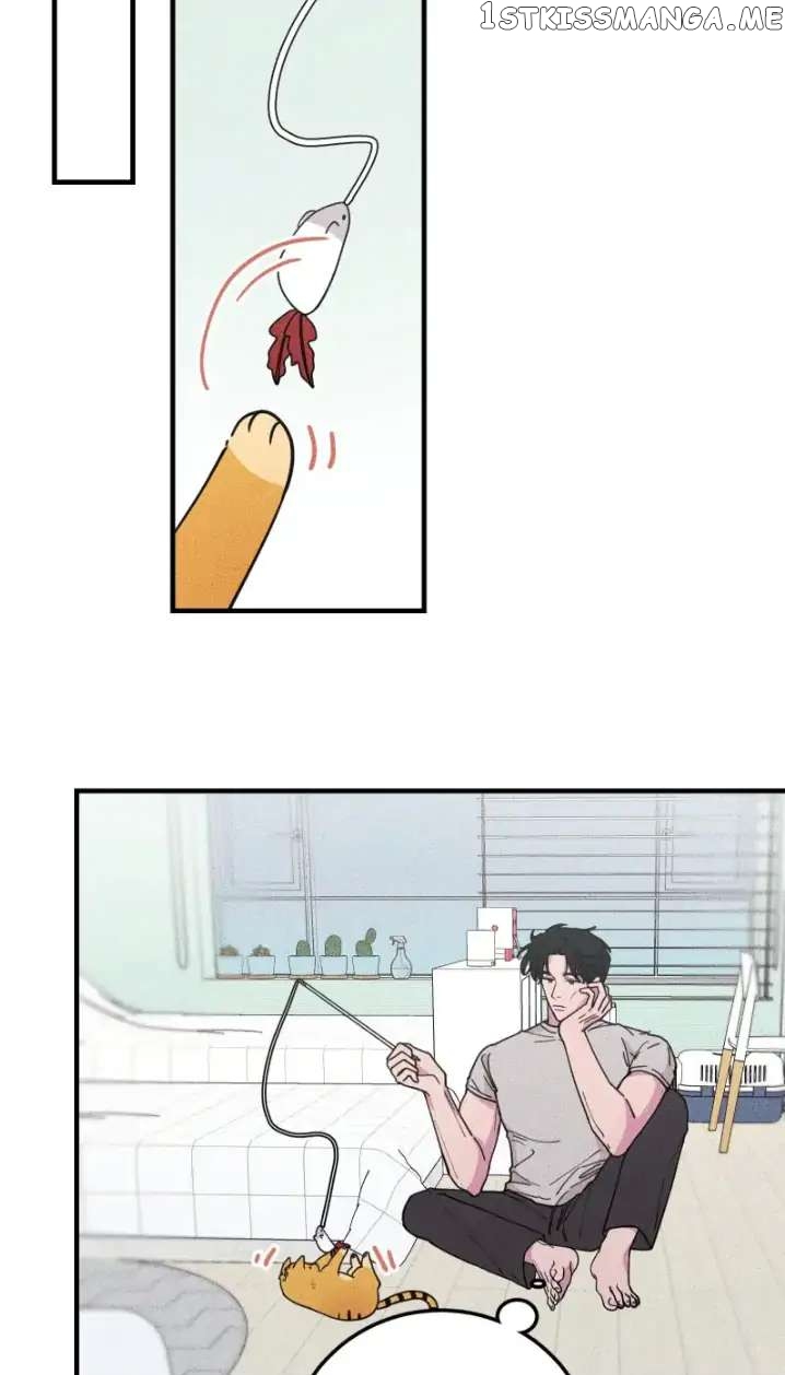 Don’t Eat My Little Cookies chapter 20 - page 42