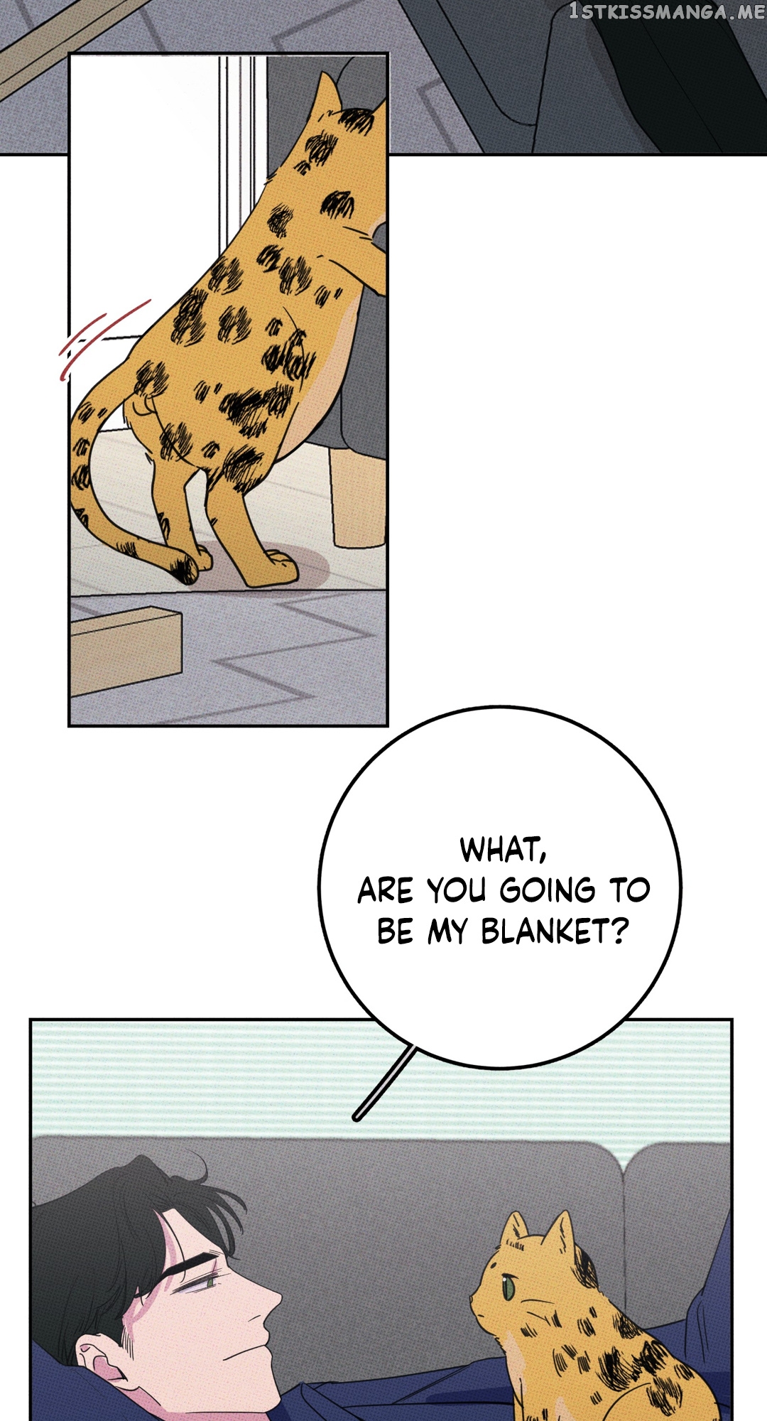Don’t Eat My Little Cookies chapter 5 - page 42