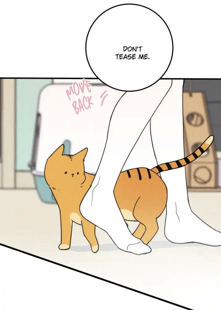 Don’t Eat My Little Cookies chapter 21 - page 14