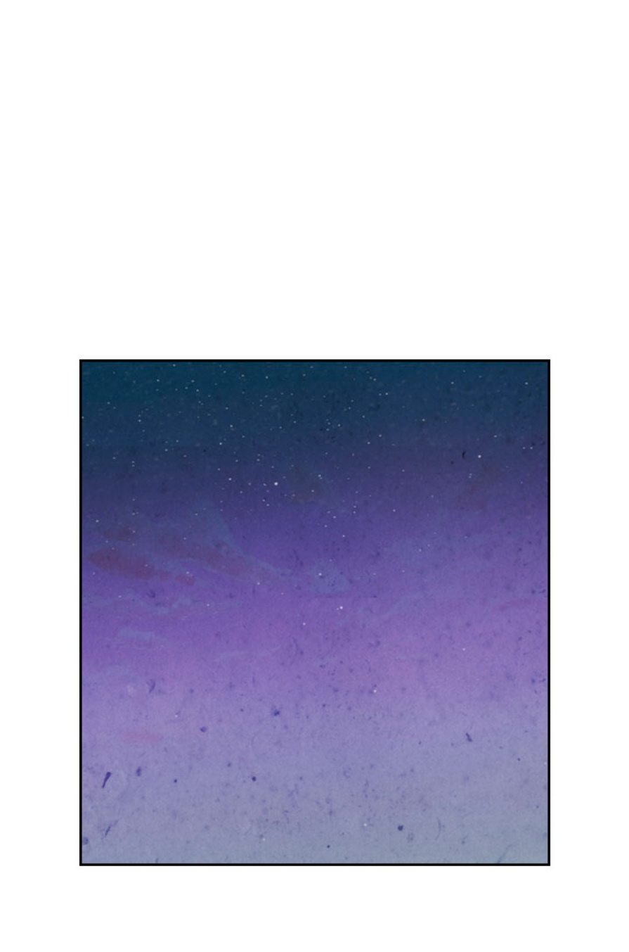 Emperor And The Female Knight chapter 89 - page 32